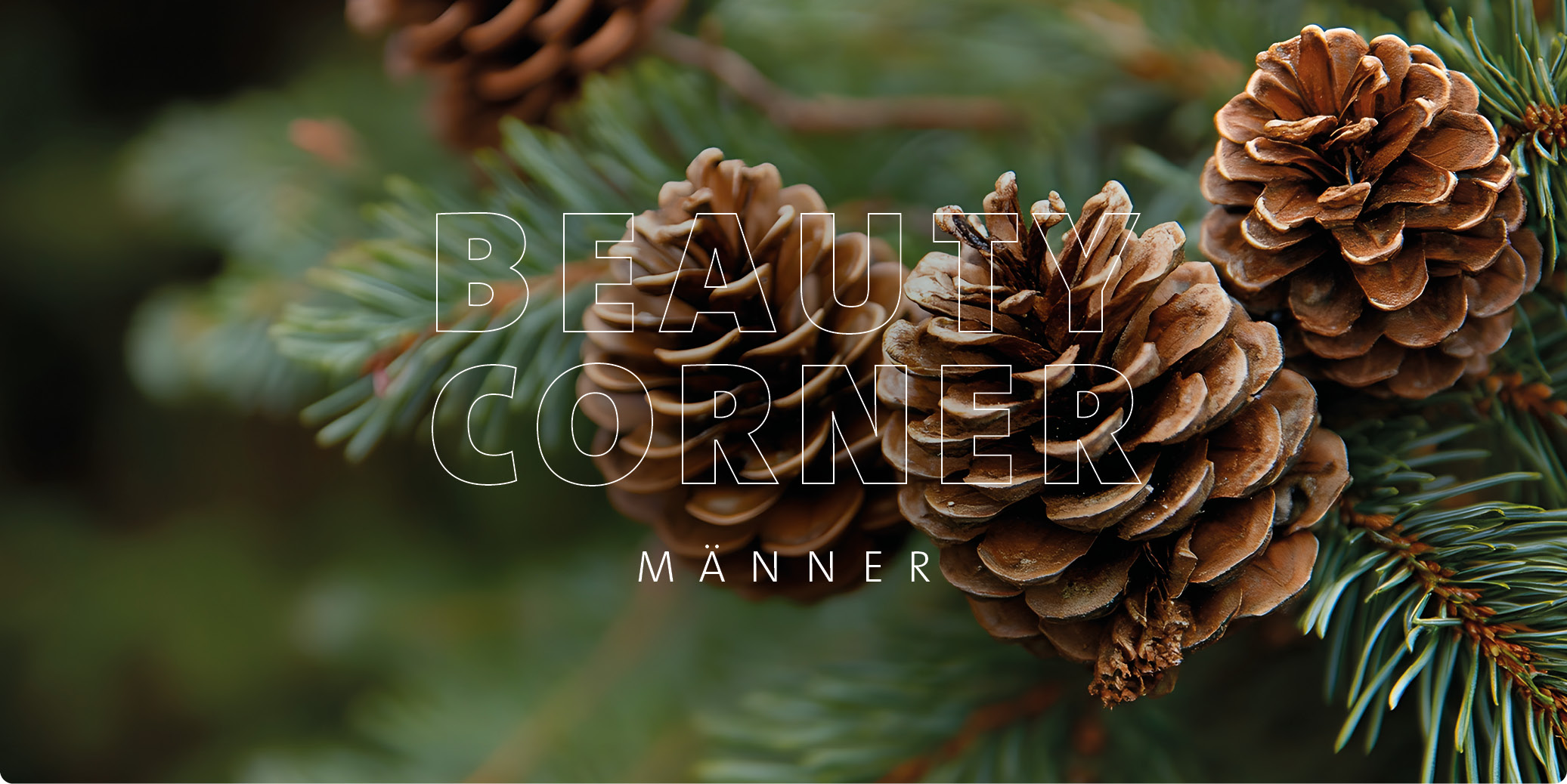 BL_05_2025_BC_Header_Men