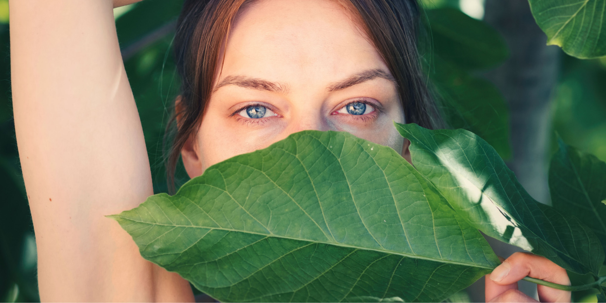 BL_05_2025_PflegeHeader_Green_Beauty