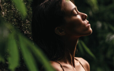 Wake up! Winterblues Adé .