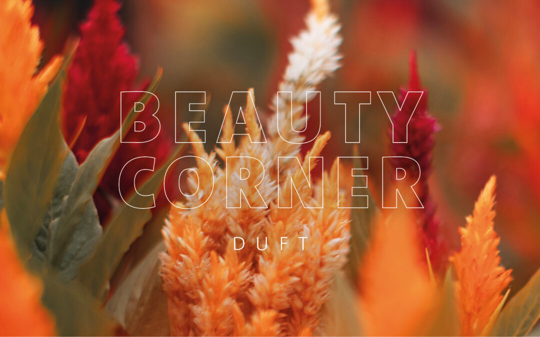 BEAUTY CORNER – DUFT