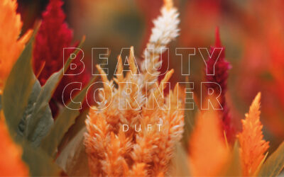 BEAUTY CORNER – DUFT