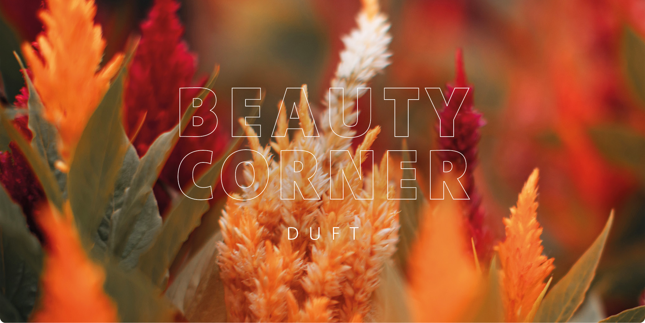 BL_02_2026_BC_Header2